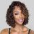 Curly Bob Wigs