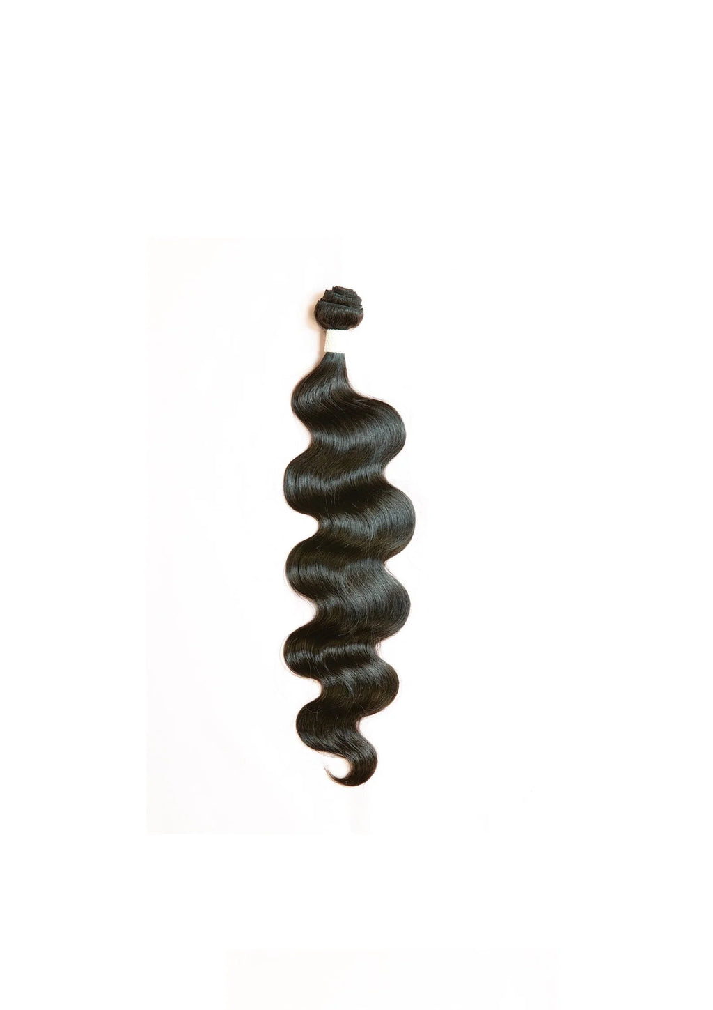 Dog Snail
