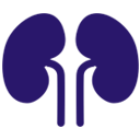 Nephrology